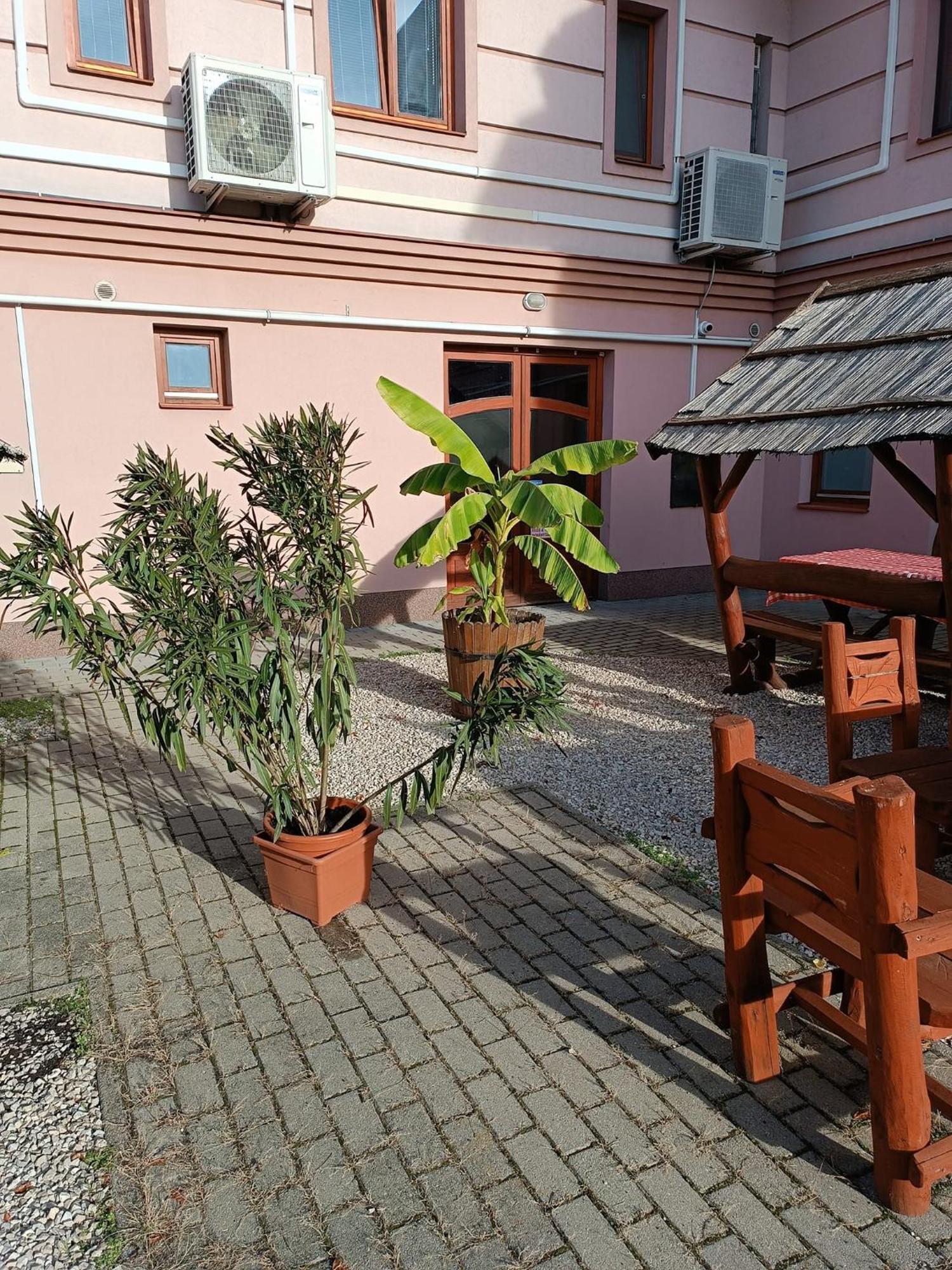 Malom Panzio Bed & Breakfast Kiskunfélegyháza Dış mekan fotoğraf